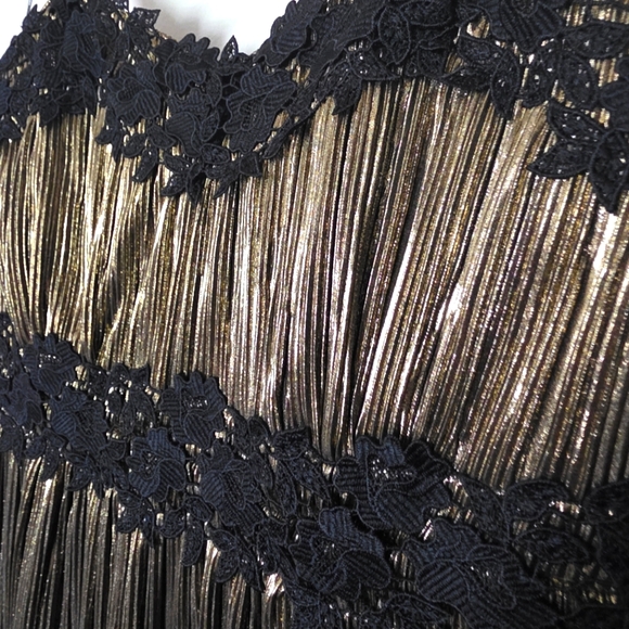 DKNY Women's Pleated Metallic Lace-Trim‎ Sleeveless Gown Sz 2 - Picture 10 of 13